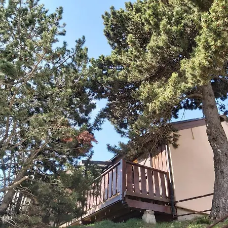 Chalet De L Ours Bolquere Pyrenees 2000 Esterno foto